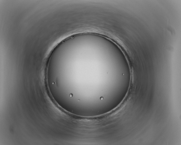 X0000114161500200910151555