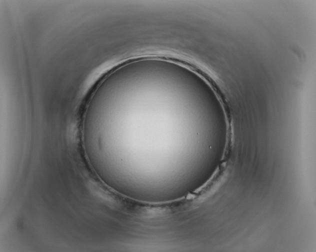 X0000114161501200910151555