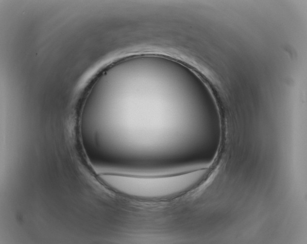 X0000114161502200910151555