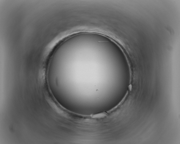 X0000114161503200910151555