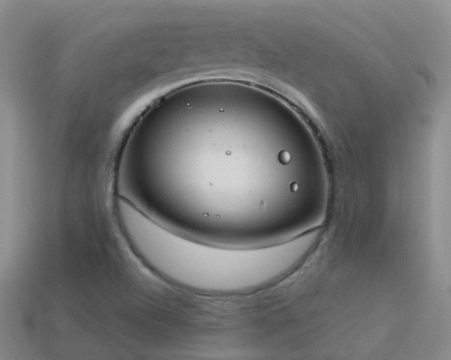 X0000114161504200910151555