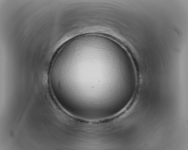 X0000114161505200910151555