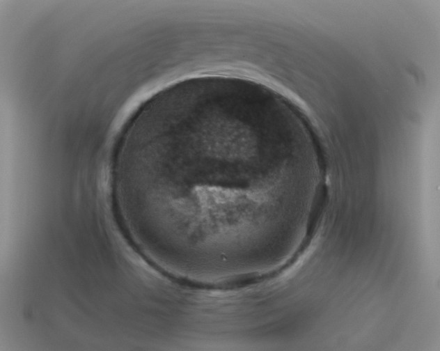 X0000114161506200910151555