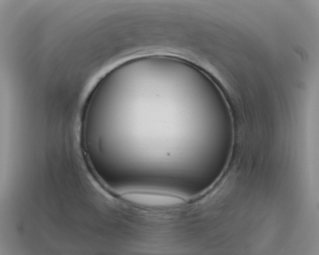 X0000114161508200910151555