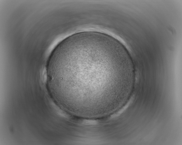 X0000114161509200910151555