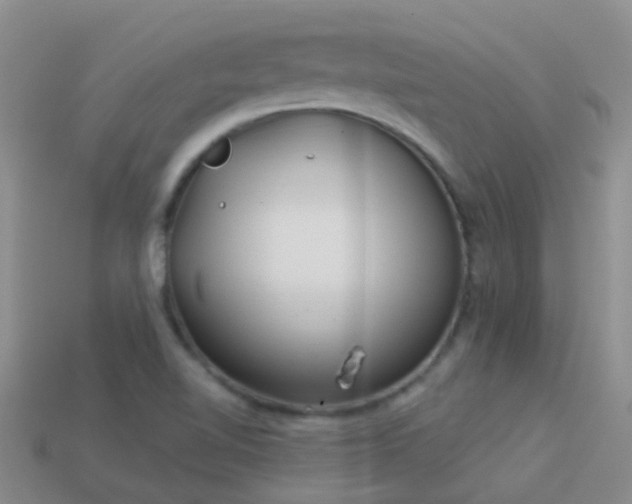 X0000114161510200910151555