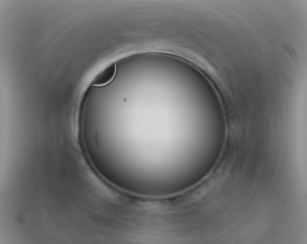 X0000114161512200910151555