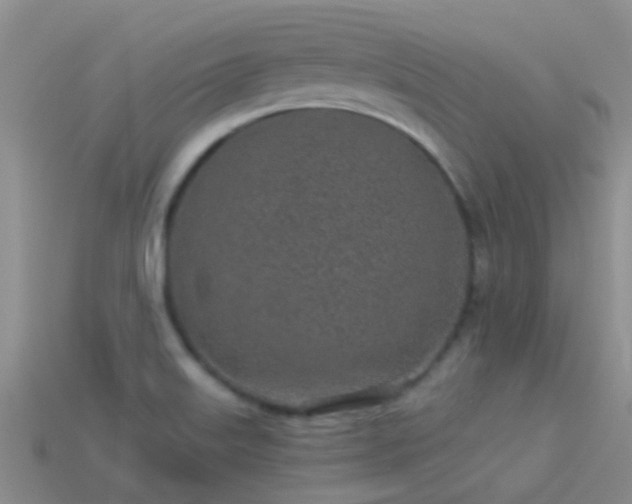 X0000114161515200910151555