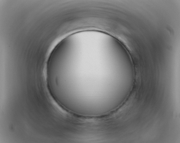 X0000114161516200910151555