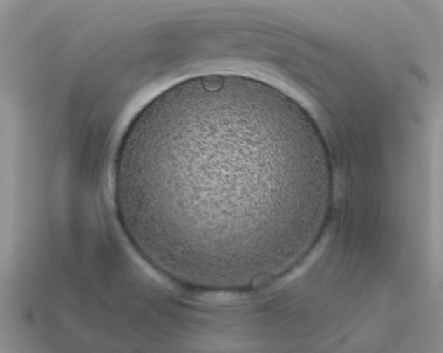 X0000114161517200910151555