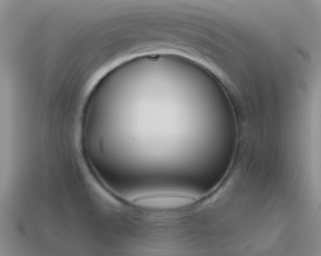 X0000114161518200910151555