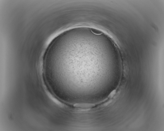 X0000114161519200910151555