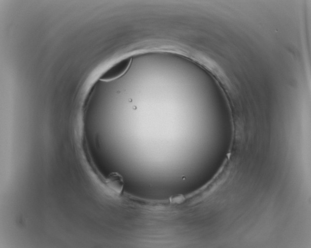 X0000114161520200910151555