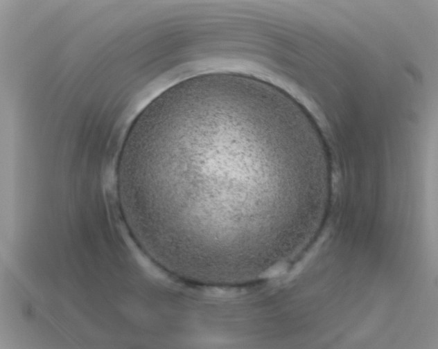 X0000114161521200910151555