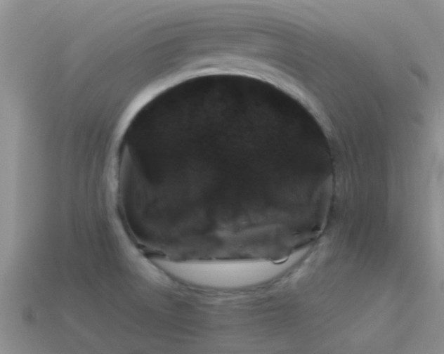 X0000114161522200910151555