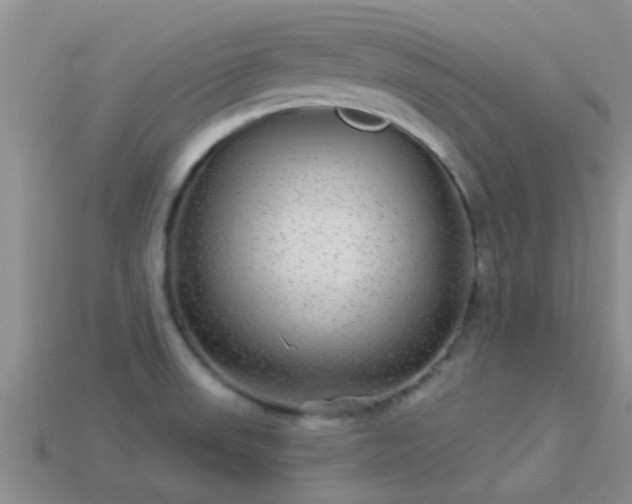 X0000114161523200910151555