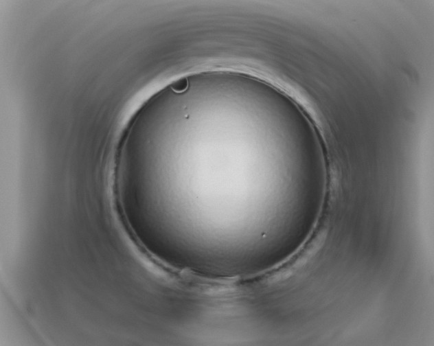 X0000114161525200910151555