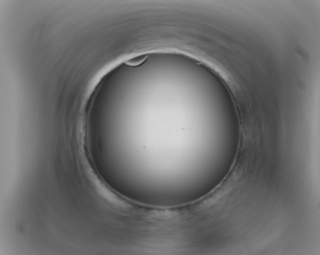 X0000114161526200910151555