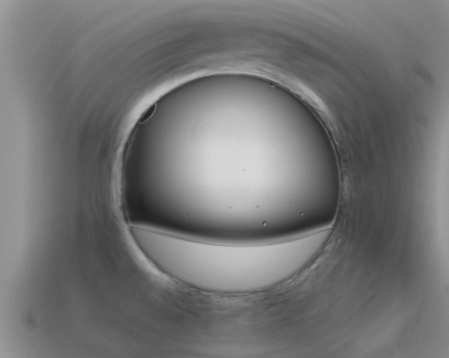 X0000114161528200910151555