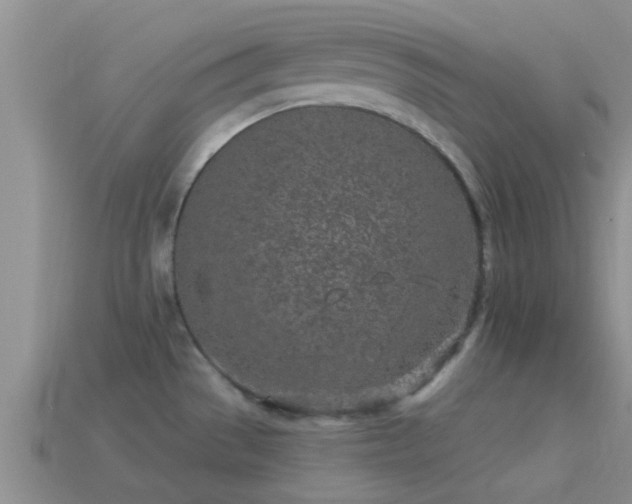 X0000114161529200910151555