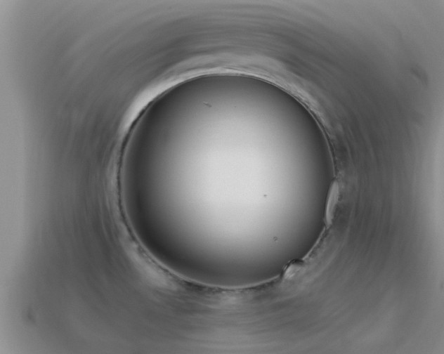 X0000114161530200910151555