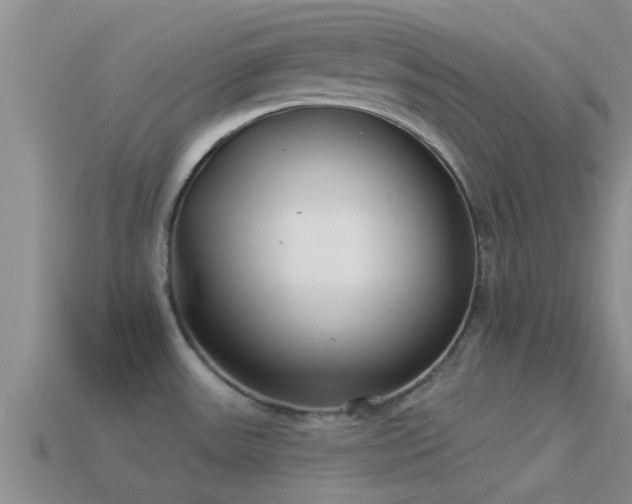 X0000114161531200910151555