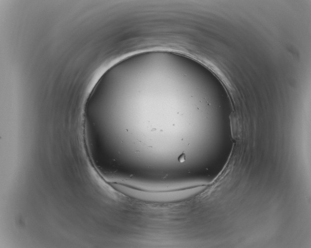 X0000114161532200910151555