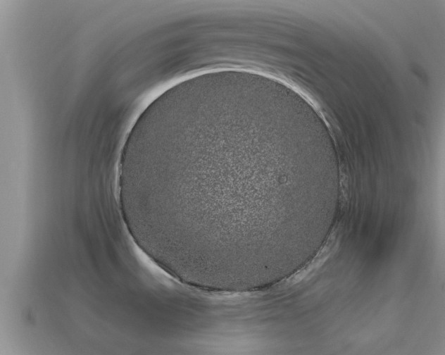 X0000114161535200910151555