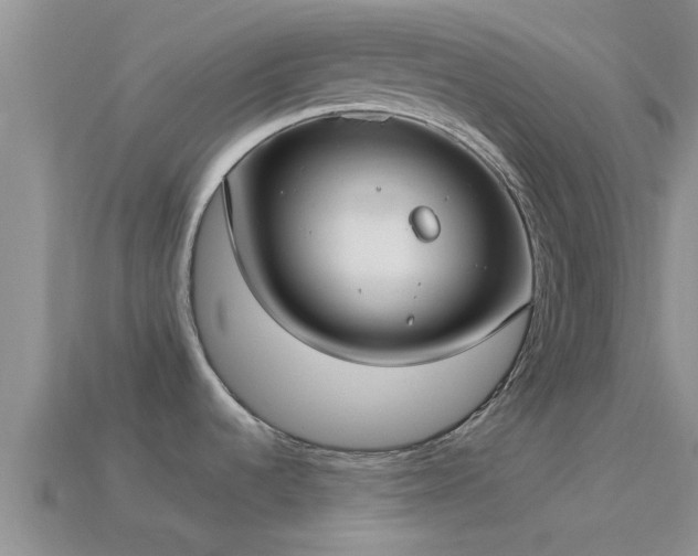 X0000114161536200910151555