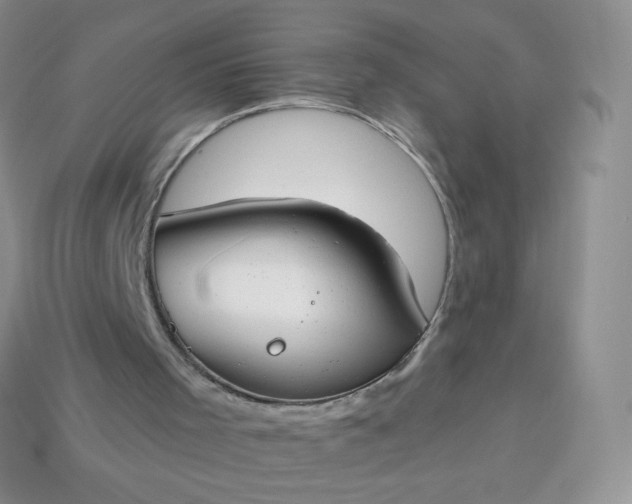 X0000114160001200910221618