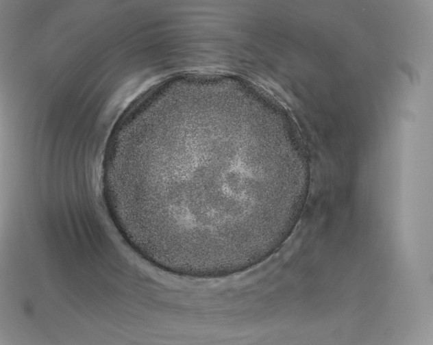 X0000114160002200910221618