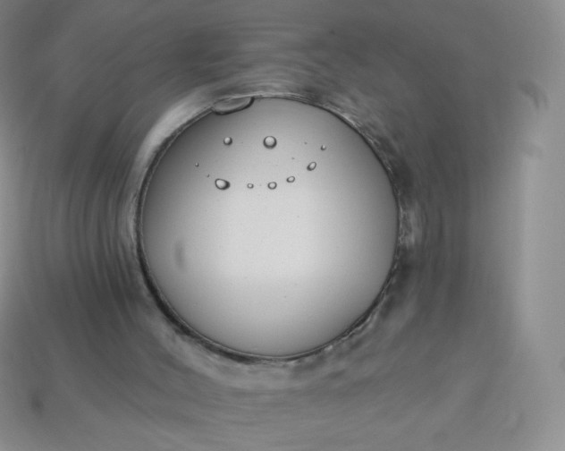 X0000114160004200910221618