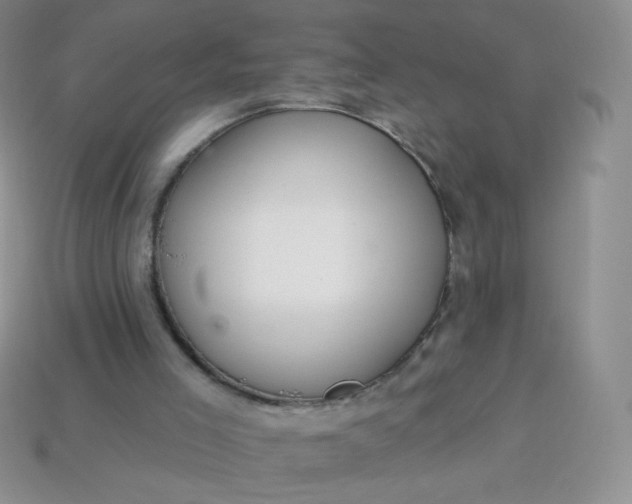 X0000114160005200910221618