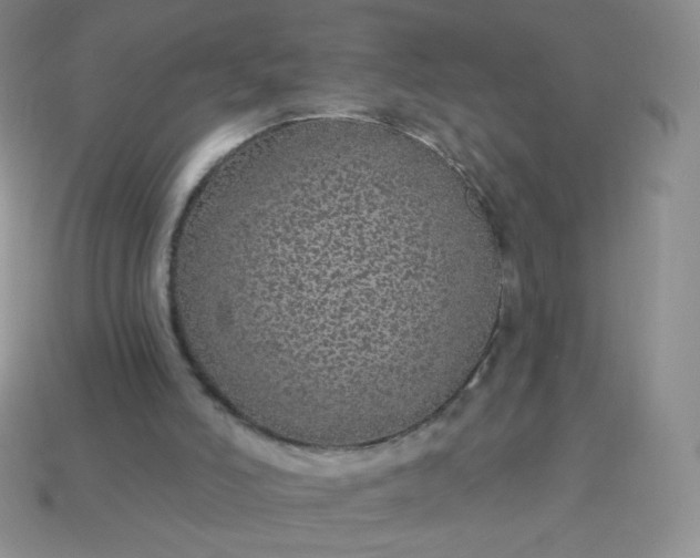 X0000114160006200910221618