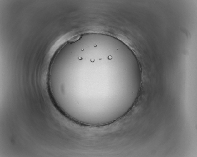 X0000114160007200910221618