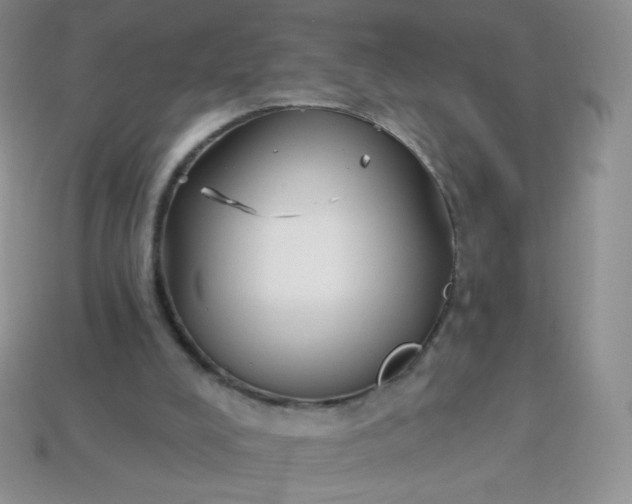 X0000114160008200910221618