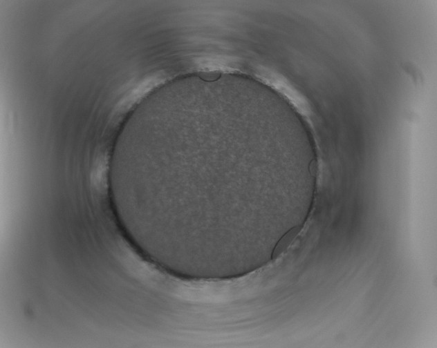 X0000114160009200910221618