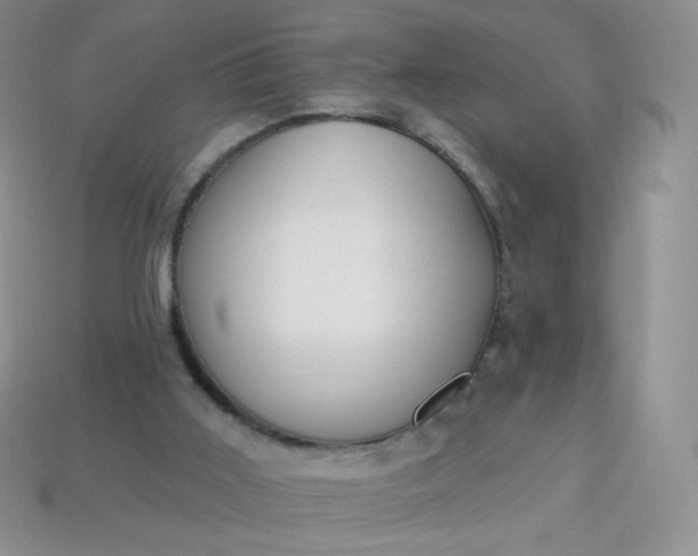 X0000114160011200910221618