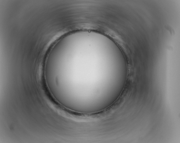 X0000114160012200910221618