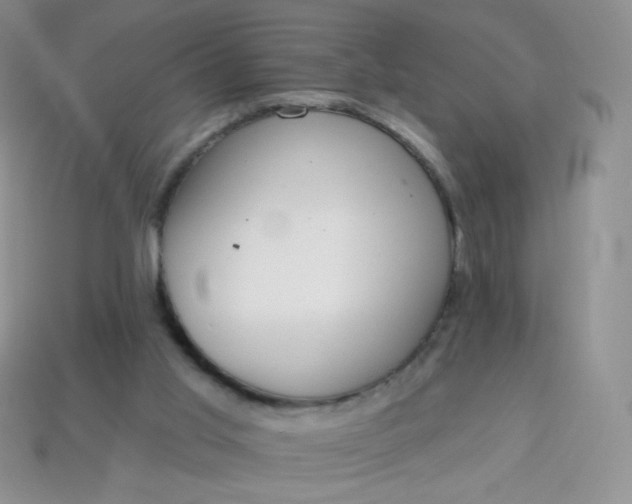 X0000114160013200910221618