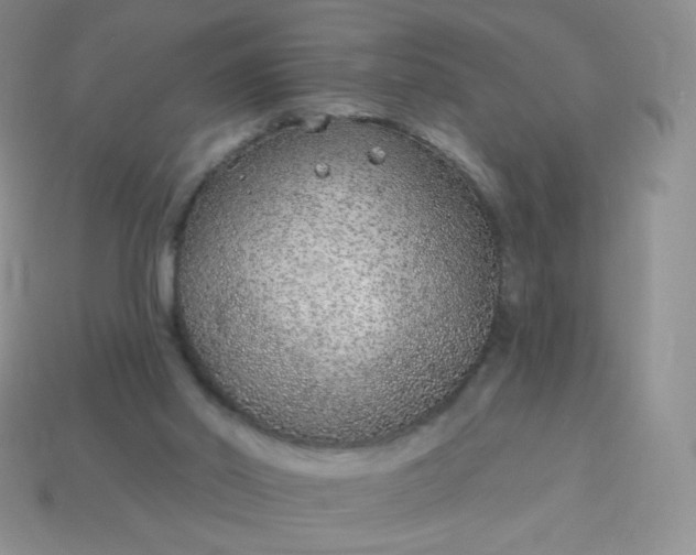 X0000114160014200910221618