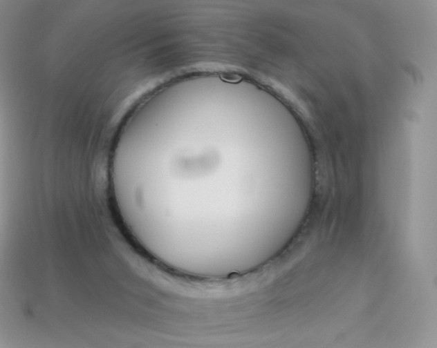 X0000114160015200910221618