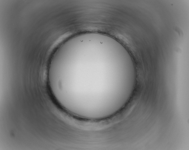 X0000114160016200910221618