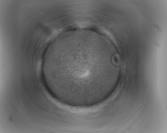 X0000114160018200910221618