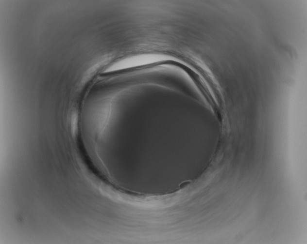 X0000114160019200910221618