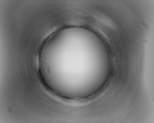 X0000114160020200910221618