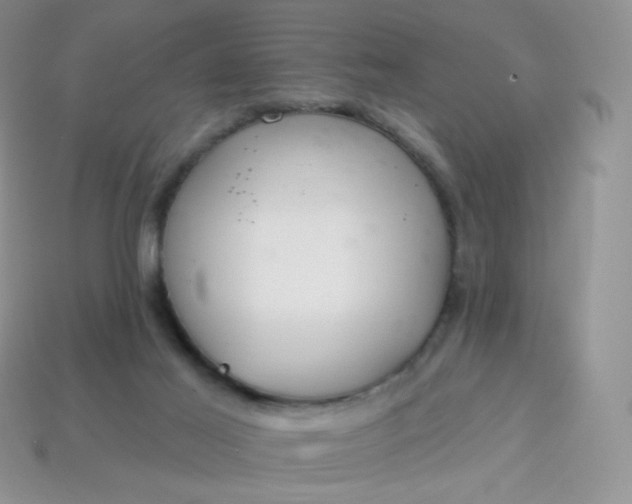 X0000114160021200910221618