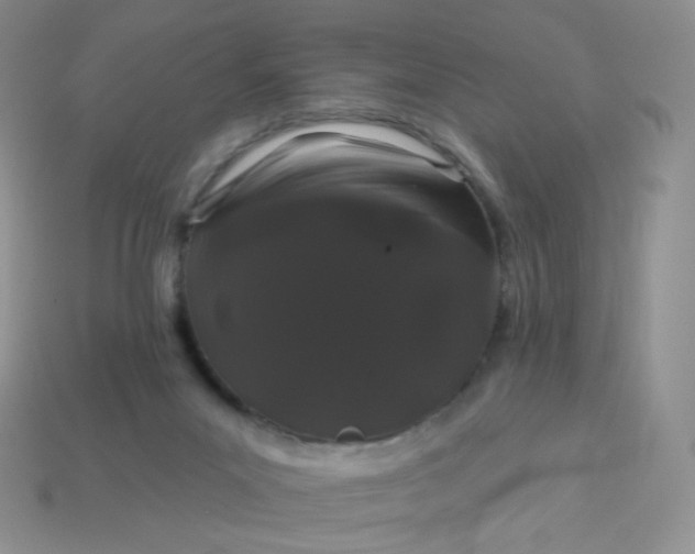 X0000114160023200910221618