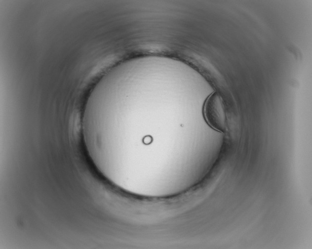 X0000114160024200910221618