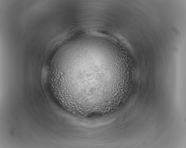 X0000114160026200910221618